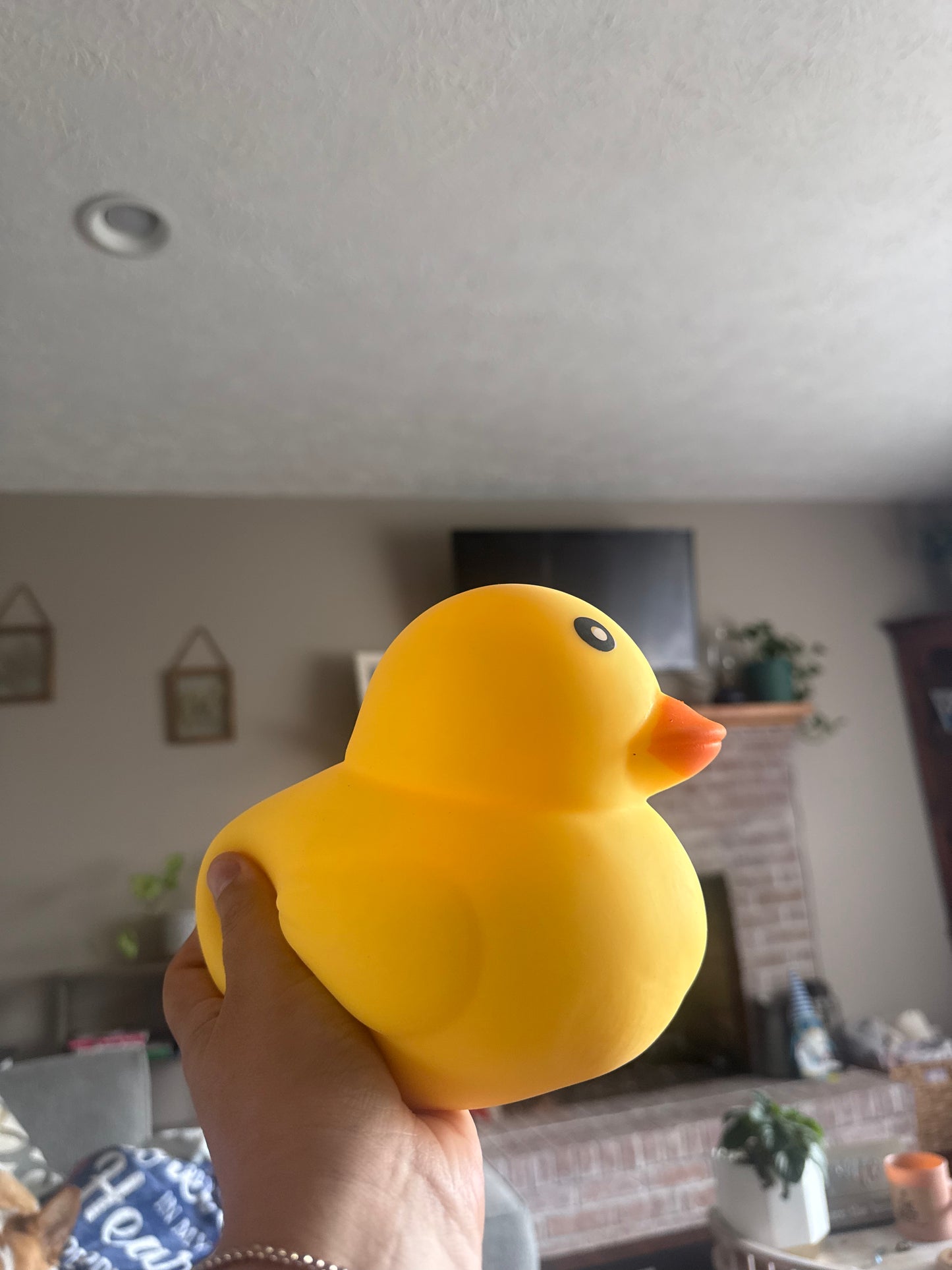 Jumbo Duck Squish
