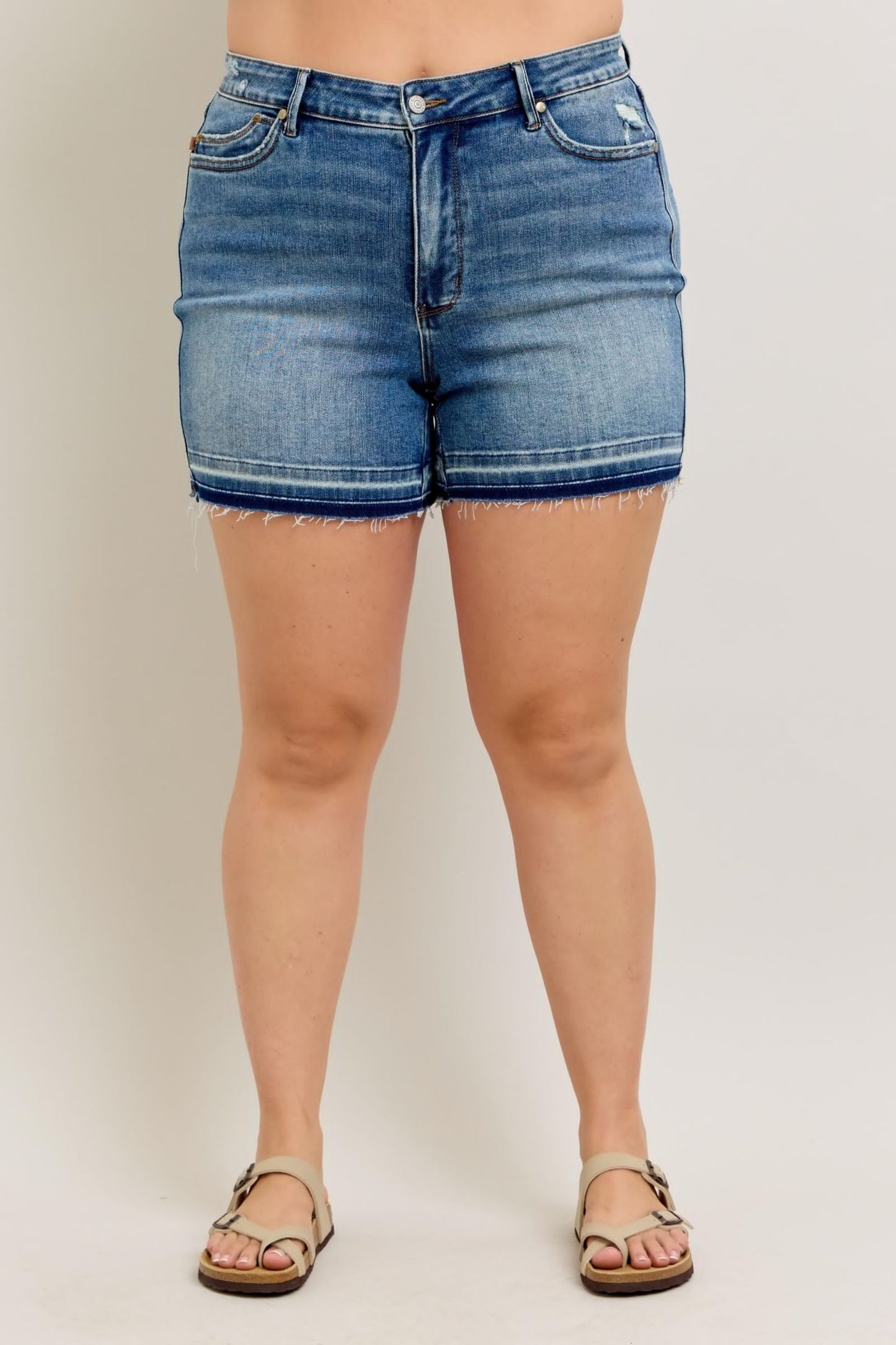 Plus Size Judy Blue Shorts