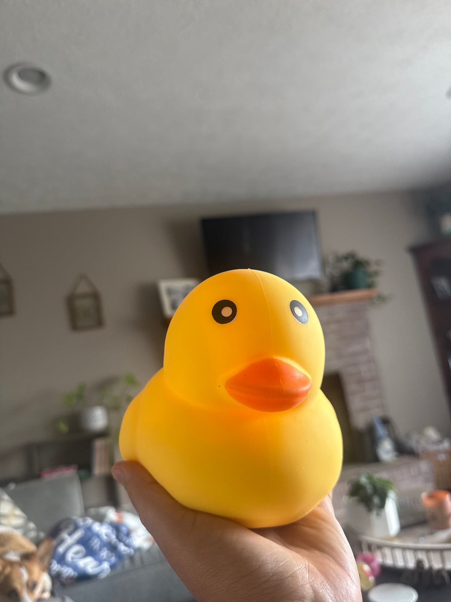 Jumbo Duck Squish